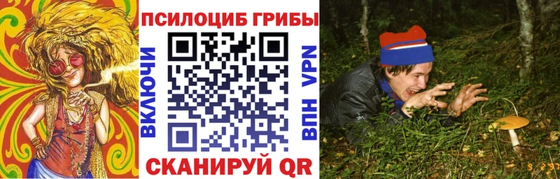 Псилоцибиновые грибы мицелий  продажа наркотиков  Дагестанские Огни 